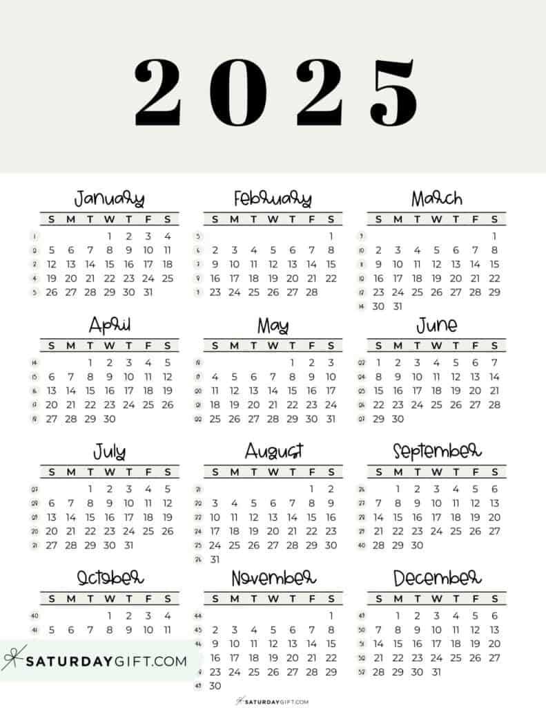 2025 19 calendar template