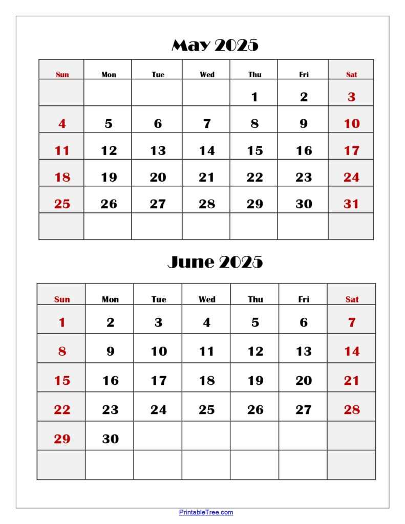 6 month calendar template 2025