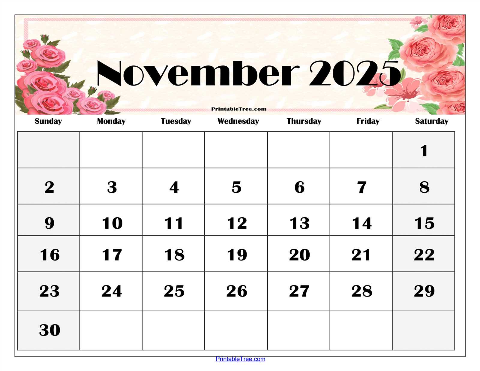 blank calendar template nov 2025