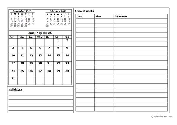 daily appointment calendar template