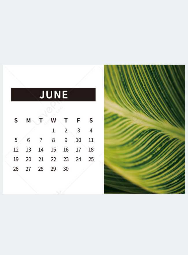 free june calendar template