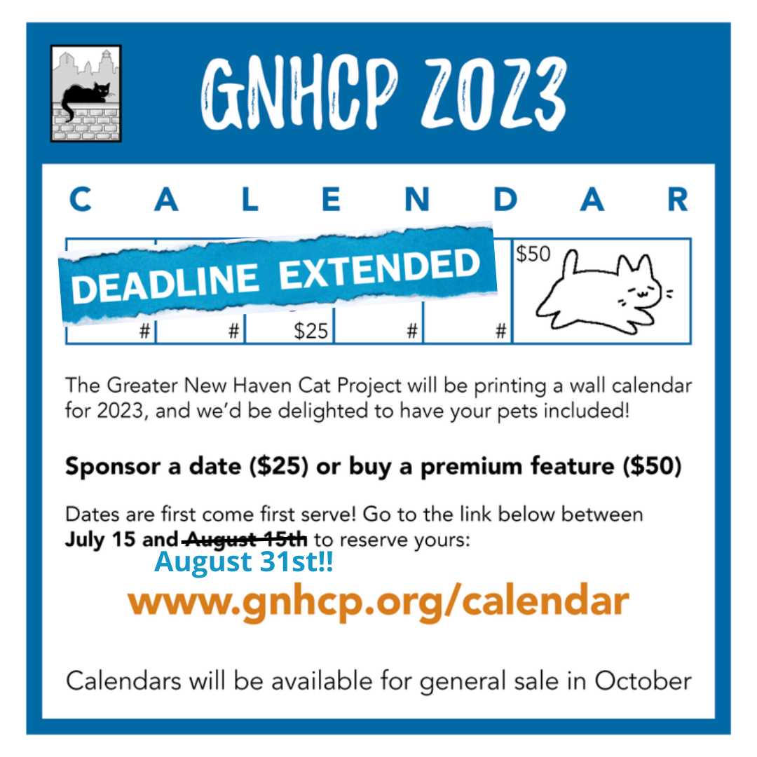 sponsor a day calendar fundraiser template free