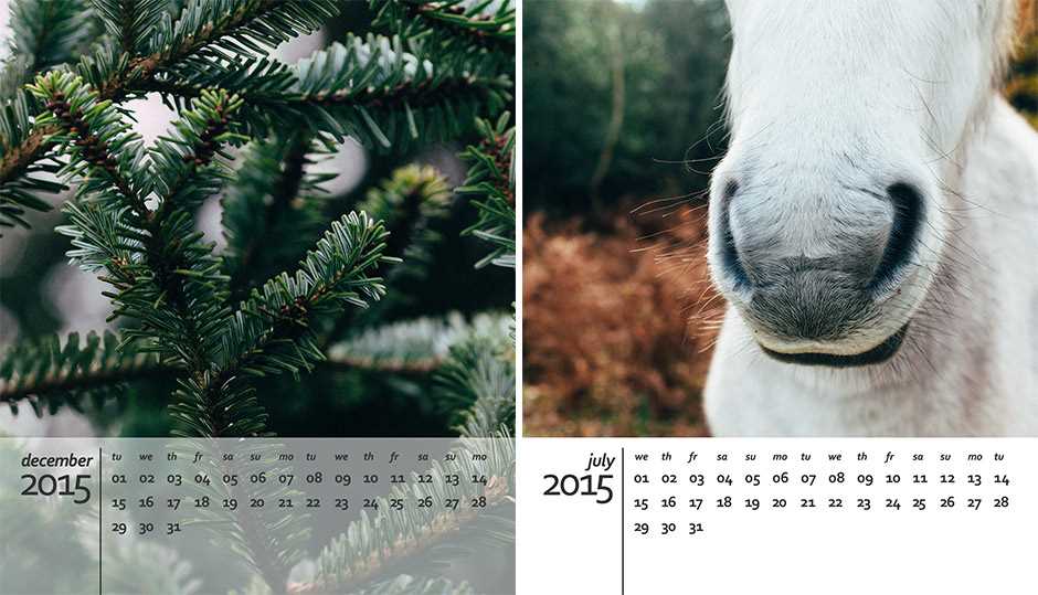 calendar photoshop template