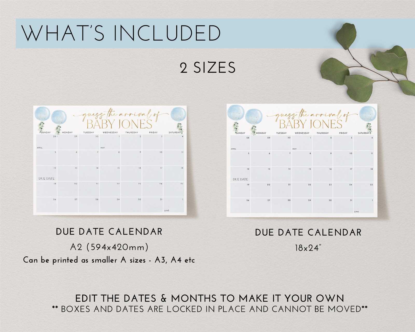 guess the due date calendar template