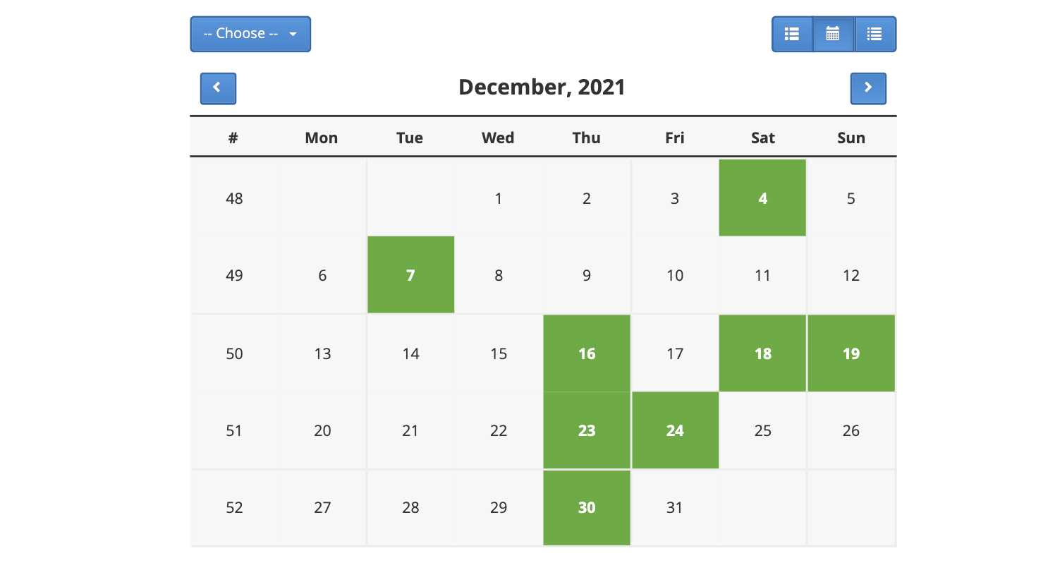 website template with booking calendar